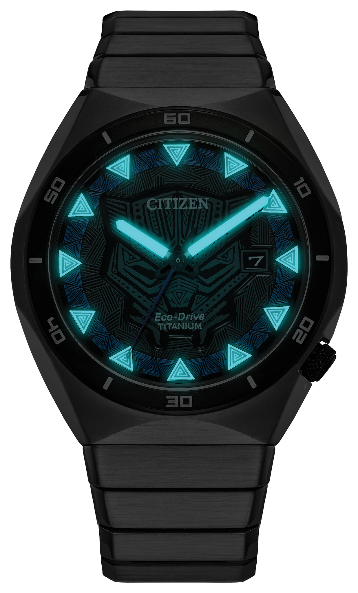 Black Panther - image 2