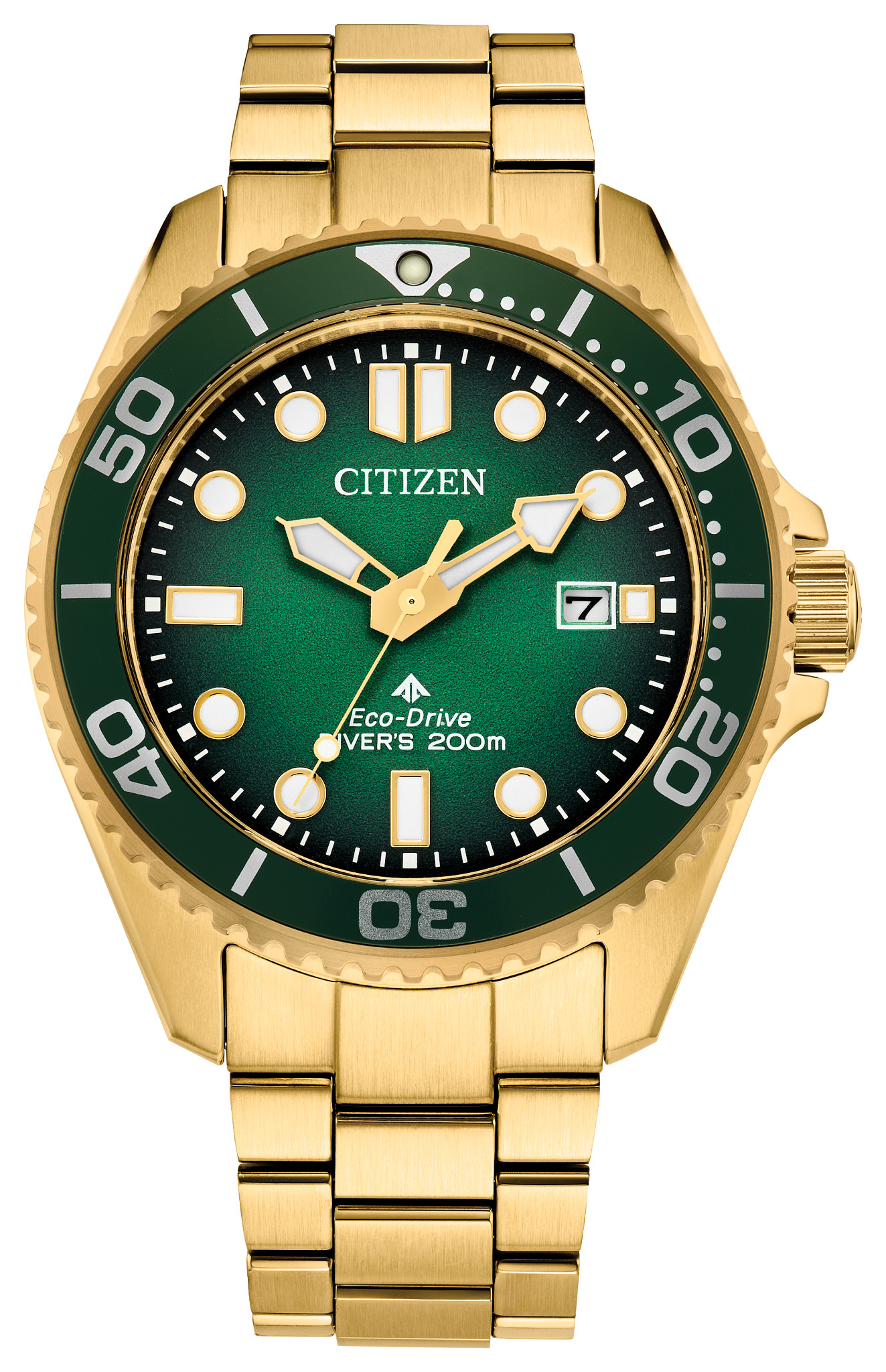 Promaster Dive - image 1