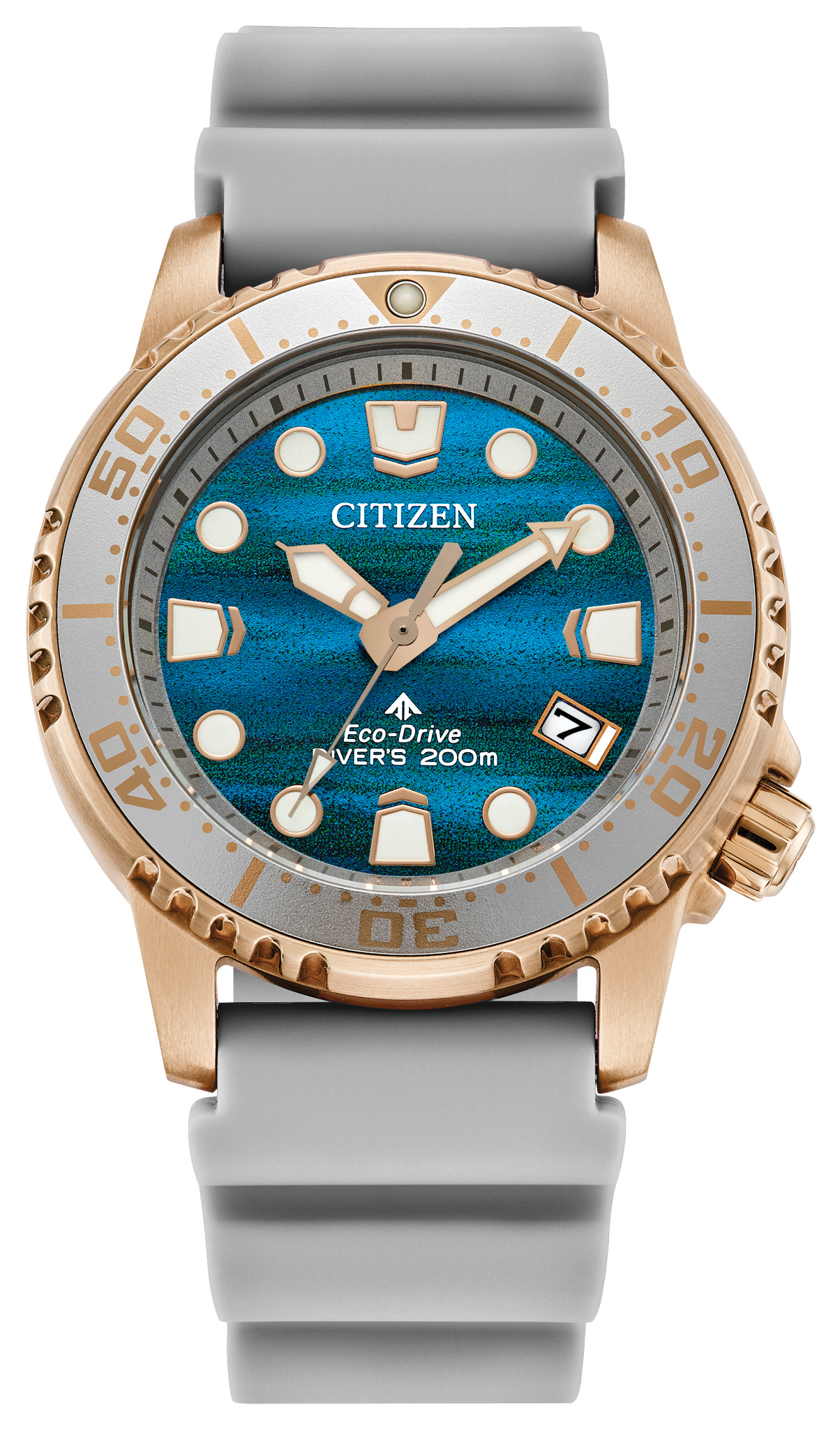 Promaster Dive - image 1