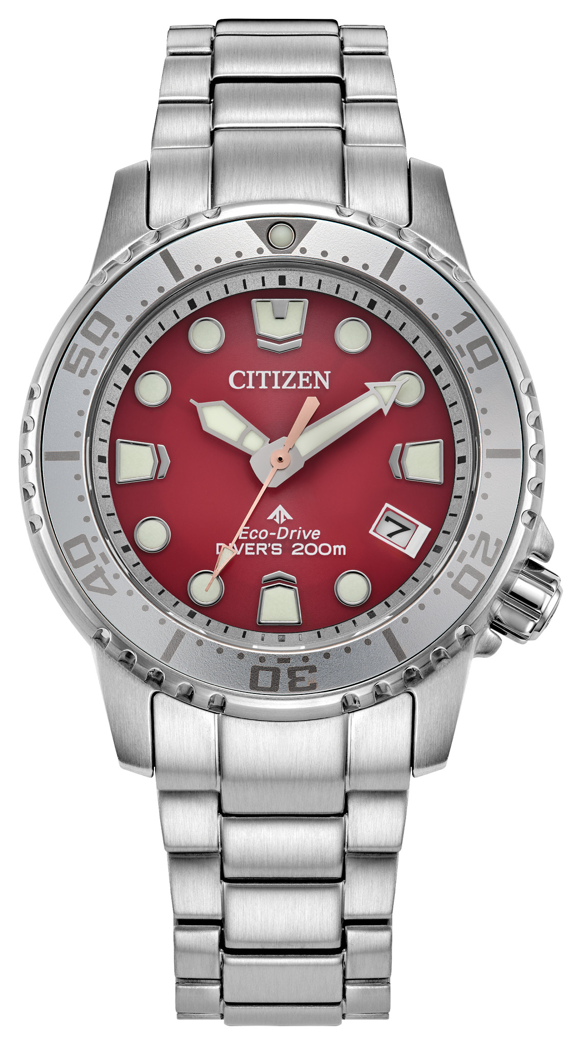 Promaster Dive - image 1