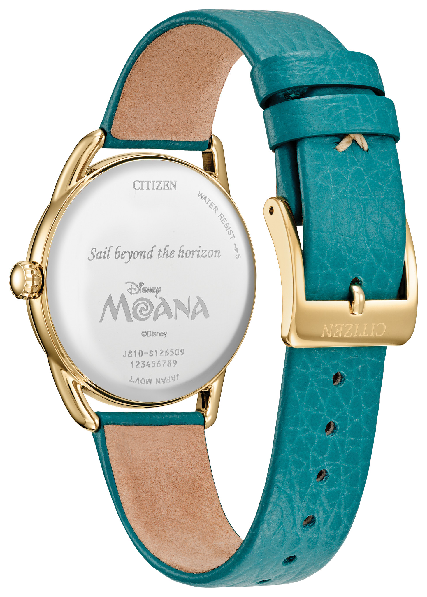 Moana's Ocean Adventure - image 4