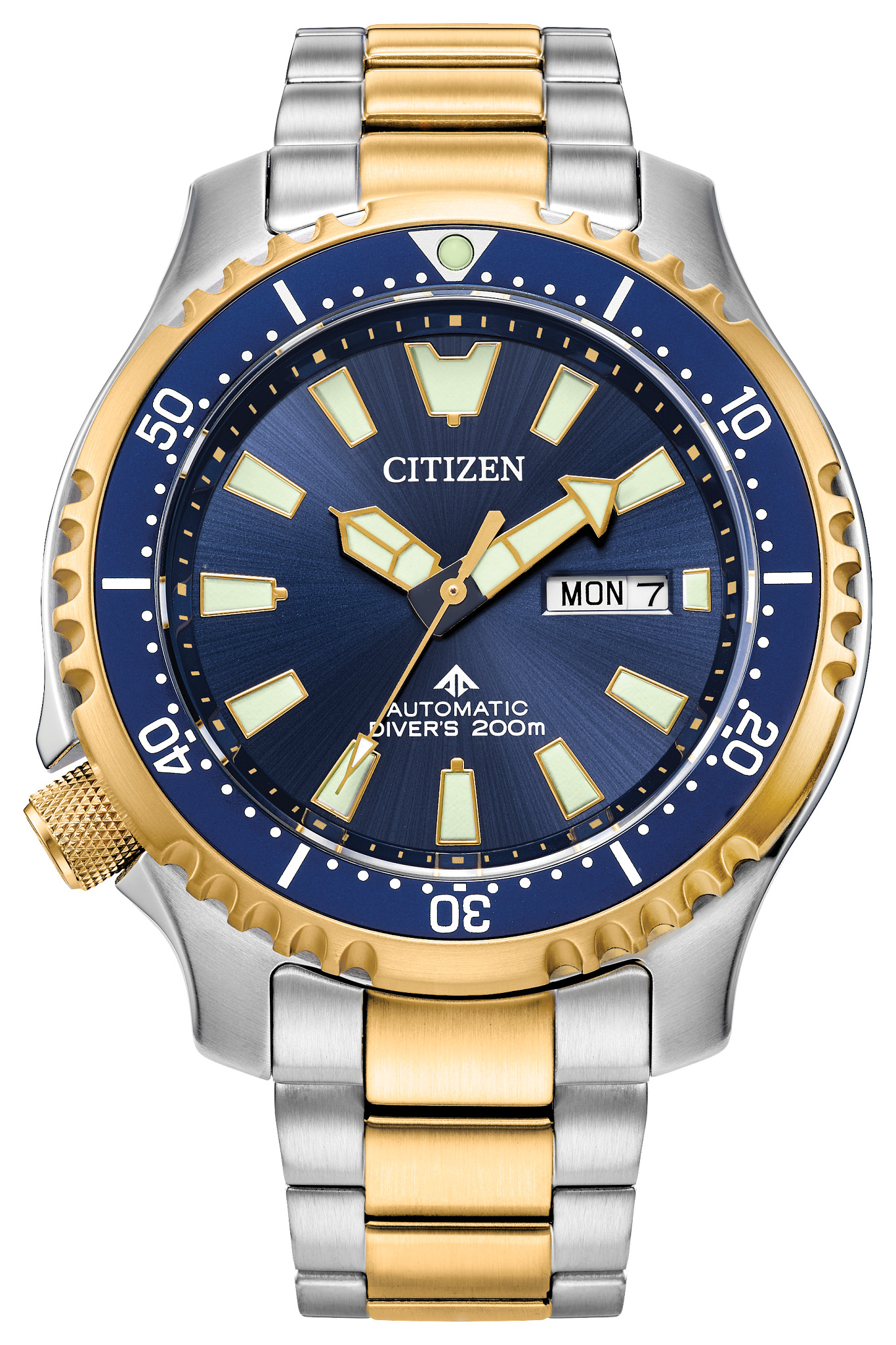 Promaster Dive Automatic - image 1