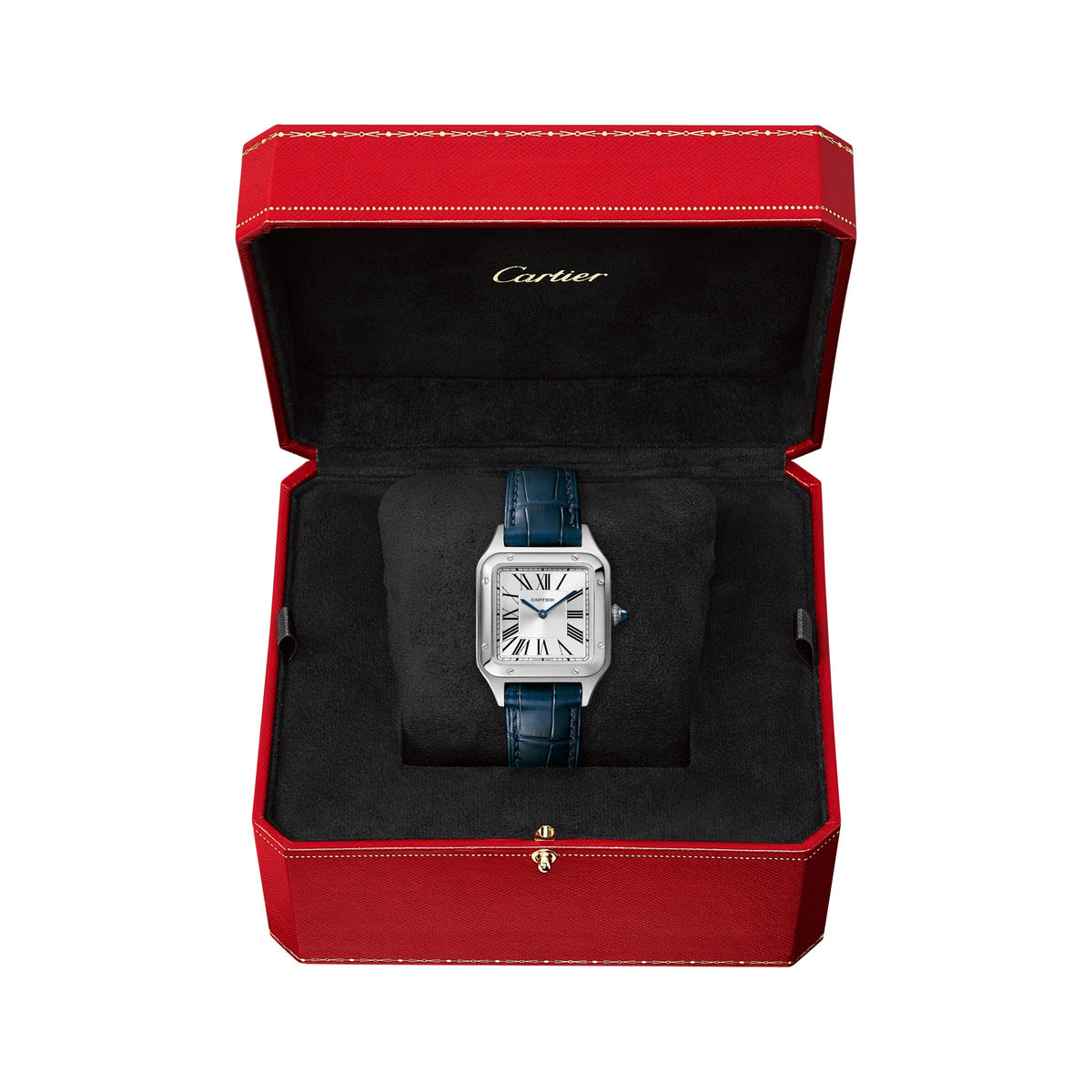 Santos-Dumont | 27.5mm, Steel, Alligator Leather, Silver Dial - image 3
