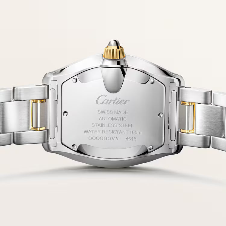 Roadster Medium Model | 35mm, Two-Tone Stainless Steel & 18K Yellow Gold - image 2