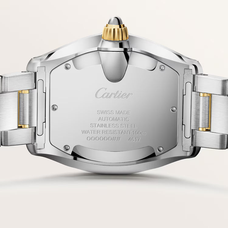 Roadster Large Model | 39mm, Two-Tone Stainless Steel & 18K Yellow Gold, White Dial - image 2