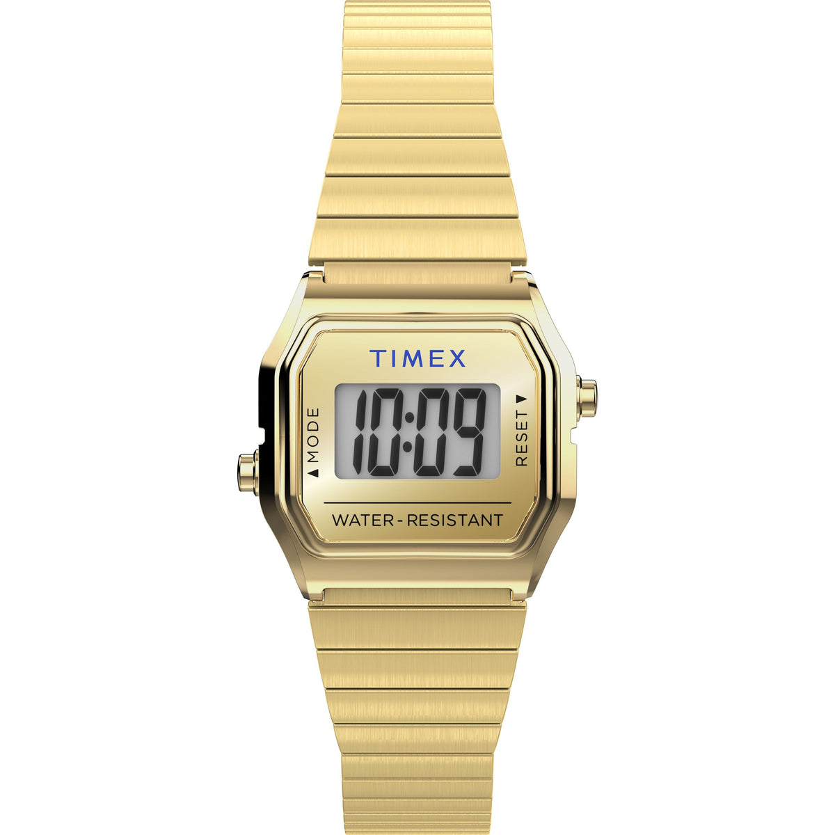 Teeny Tiny | 20mm, Steel, Black Dial, Gold Bezel - image 1