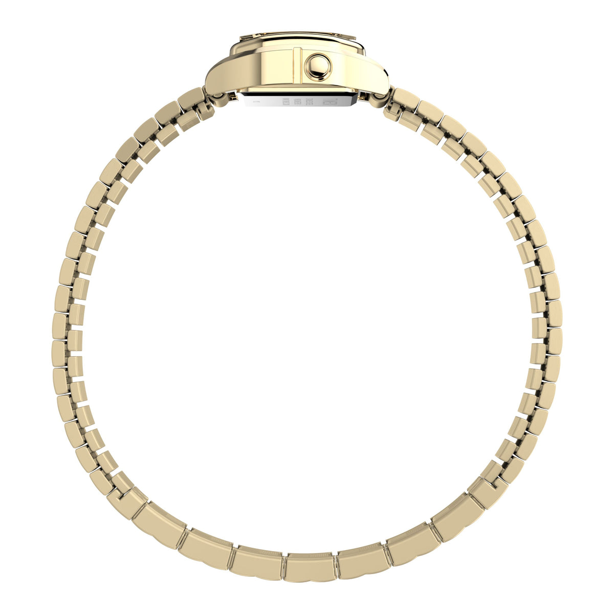 Teeny Tiny | 20mm, Steel, Black Dial, Gold Bezel - image 2